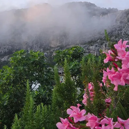 Daire Jelinek Brela